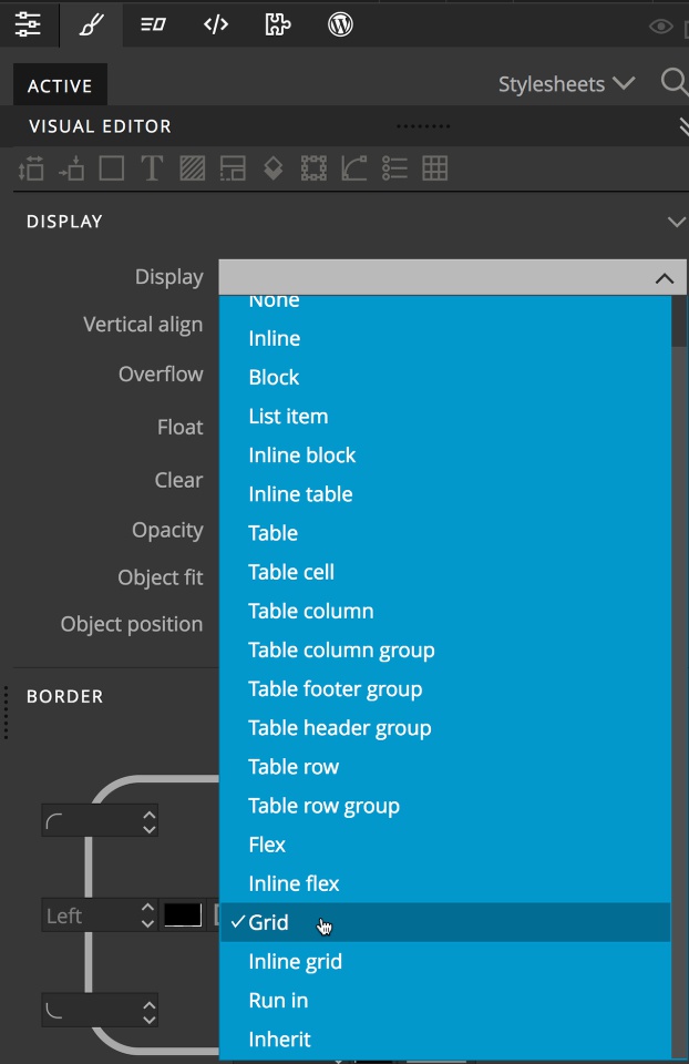 Screenshot of the "Display" selection of the visual editor.