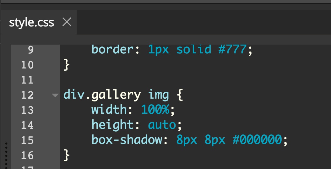 Screenshot of unprefixed box-shadow declaration.